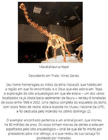 Dinossauros Tem Ouvido? #fauna #biologia #biologiadivertida