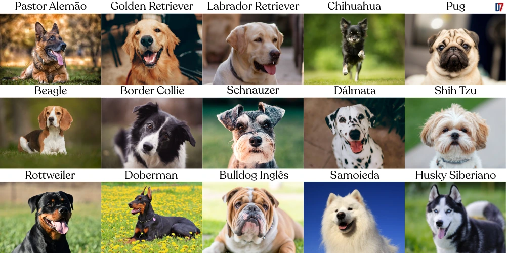 15 RAÇAS DE CÃES