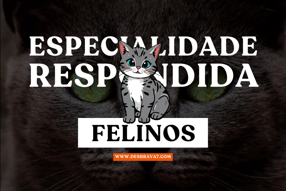 Especialidade de Felinos Respondida