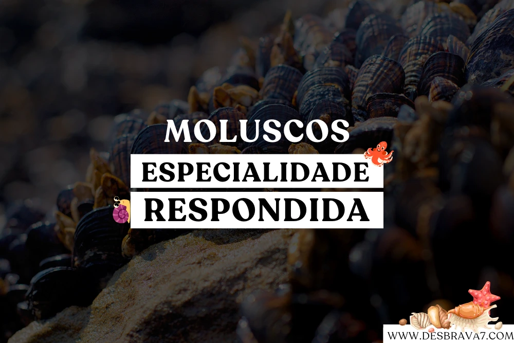 Especialidade de Moluscos Respondida
