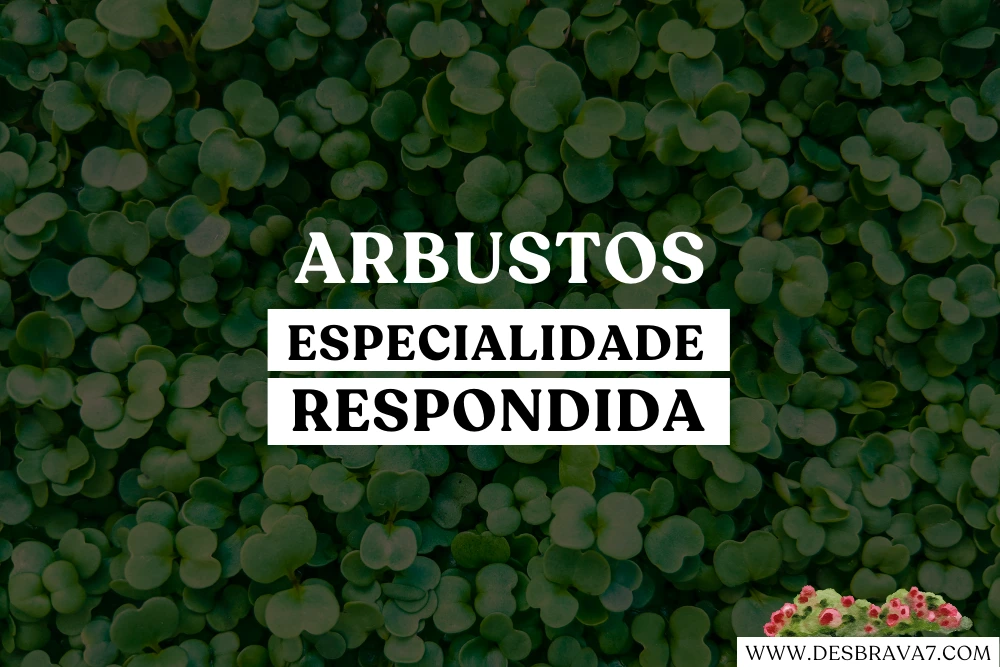 Especialidade de Arbustos Respondida
