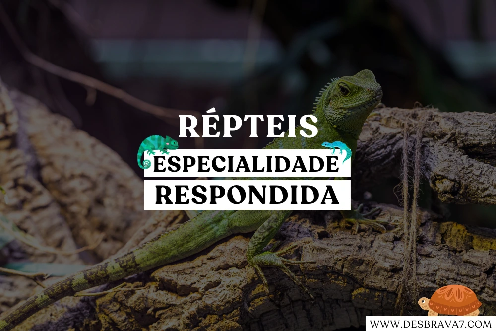 Especialidade de Répteis Respondida