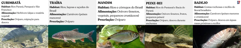 5 peixes típicos do brasil