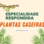 Especialidade de Plantas Caseiras Respondida