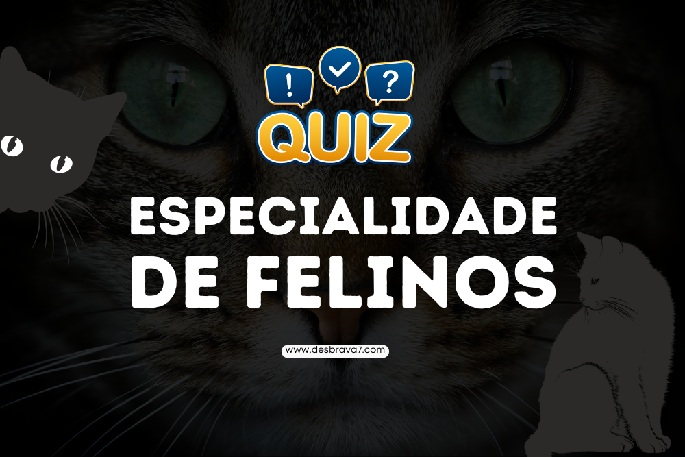 quiz da especialidade de felinos