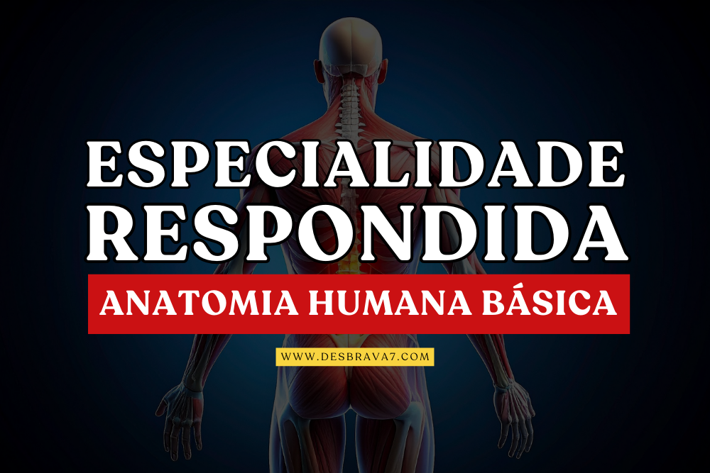 Especialidade de Anatomia Humana Básica Respondida