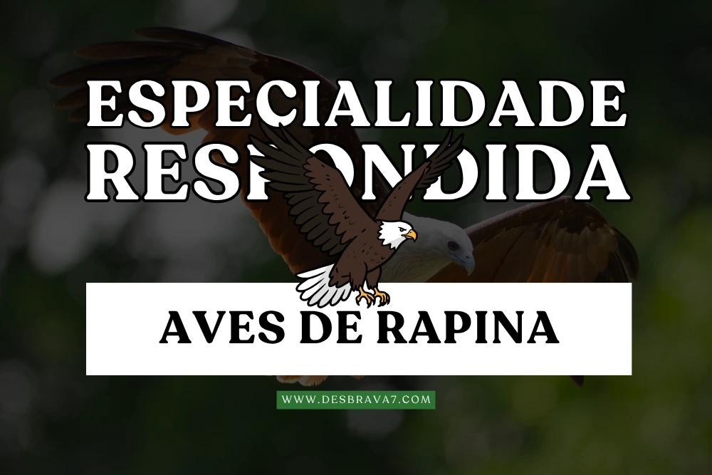 Especialidade de Aves de Rapina Respondida