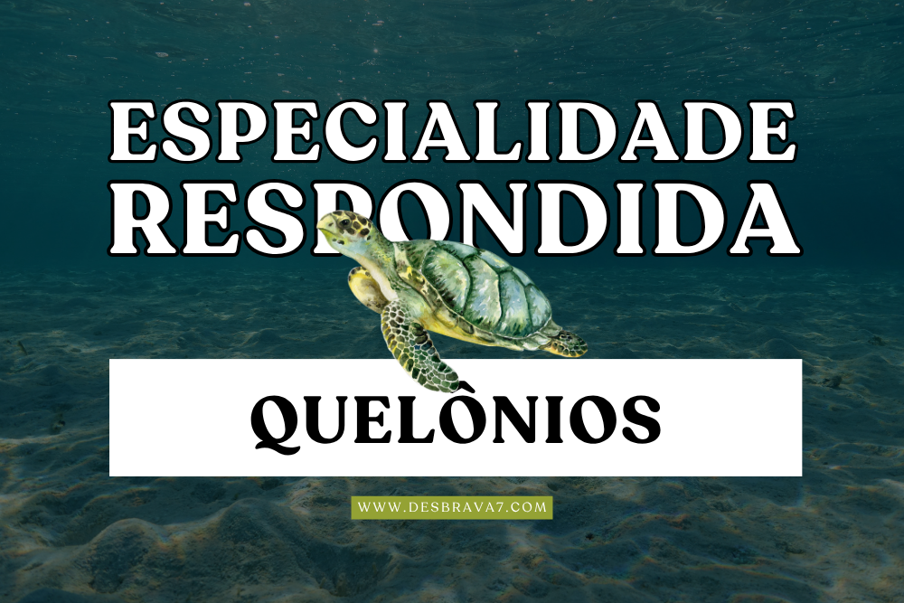 Especialidade de Quelônios Respondida