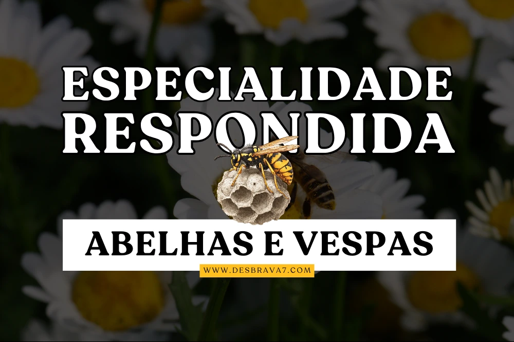Especialidade de Abelhas e Vespas Respondida