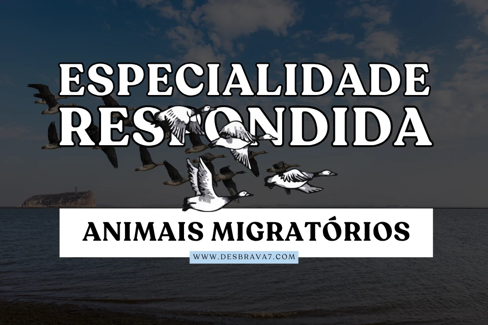 Especialidade de Animais Migratórios Respondida