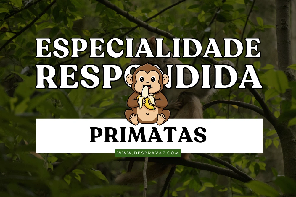 Especialidade de Primatas Respondida