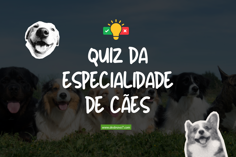 QUIZ DA ESPECIALIDADE DE CÃES